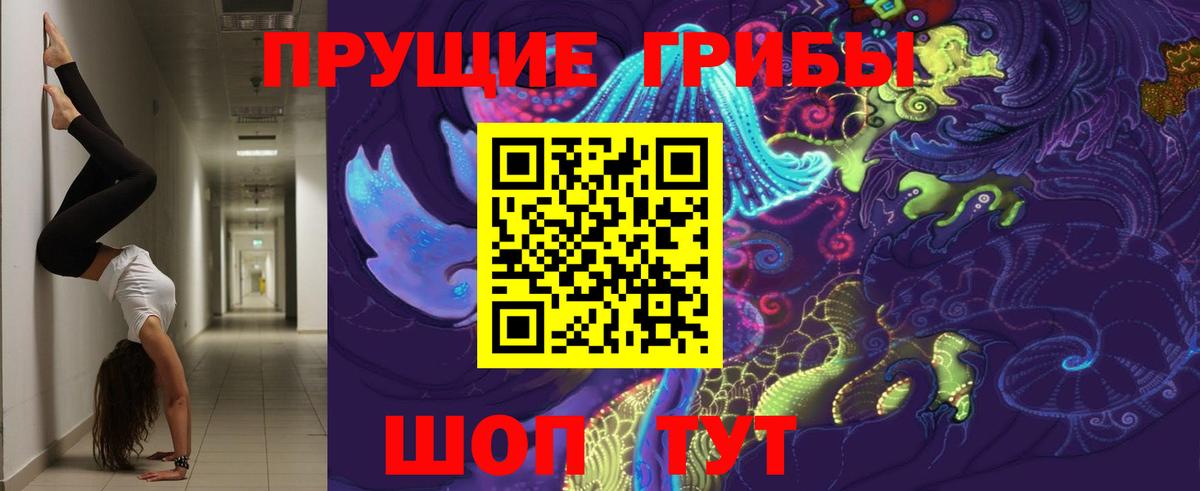 Псилоцибиновые грибы мухоморы  Псилоцибиновые грибы Psilocybe  Вход с VPN  Лесной 