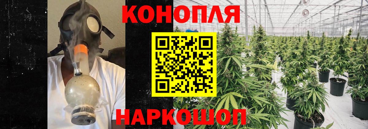 Каннабис конопля  Канабис сатива  Лесной  Вход с VPN 